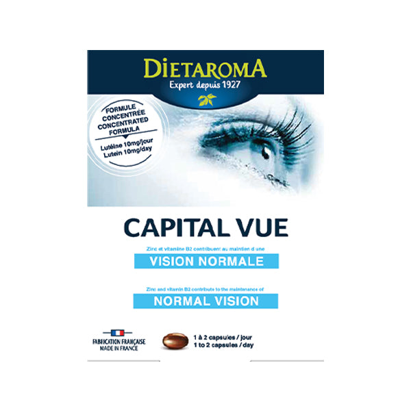Capital Vision